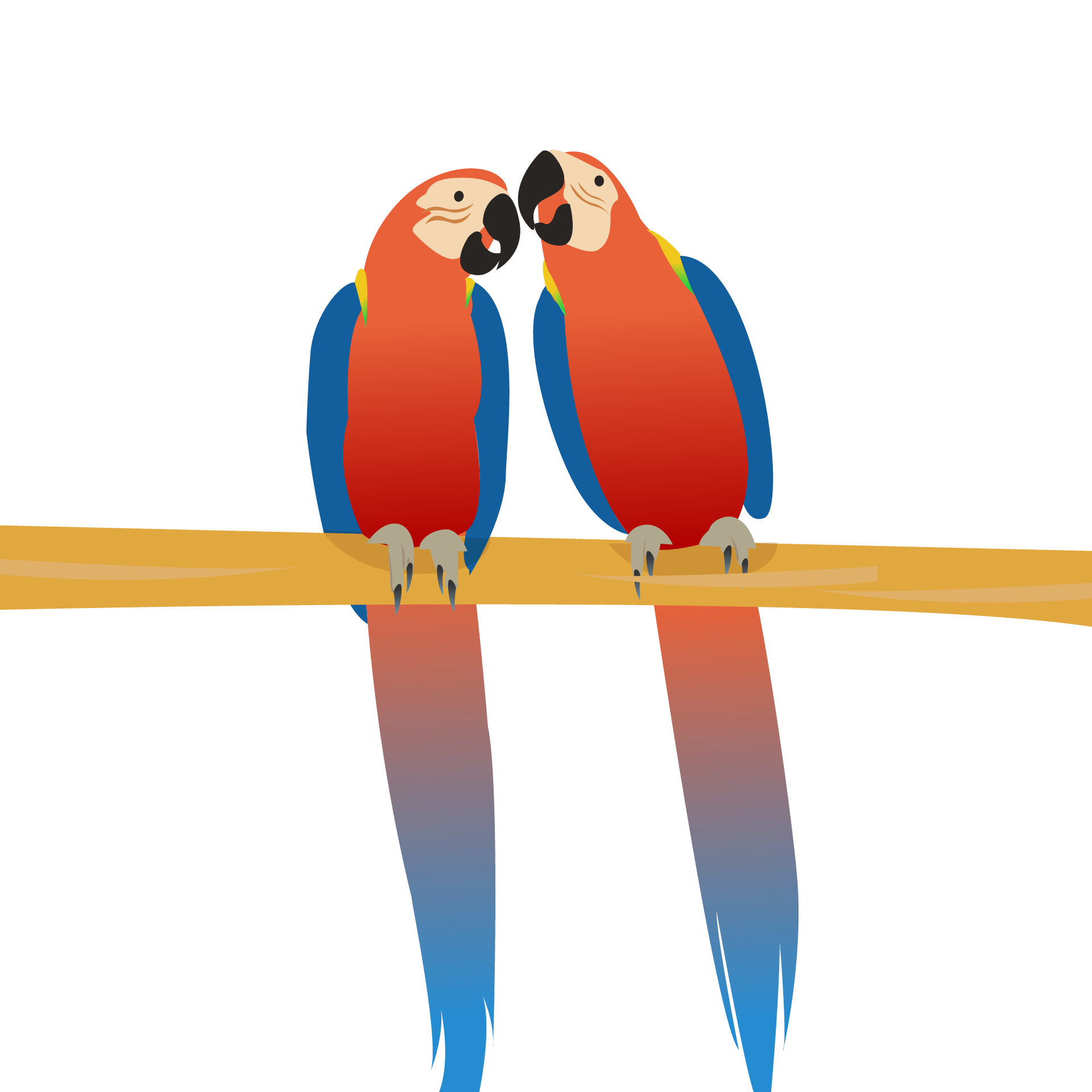 Araras vermelhas representando comunicação