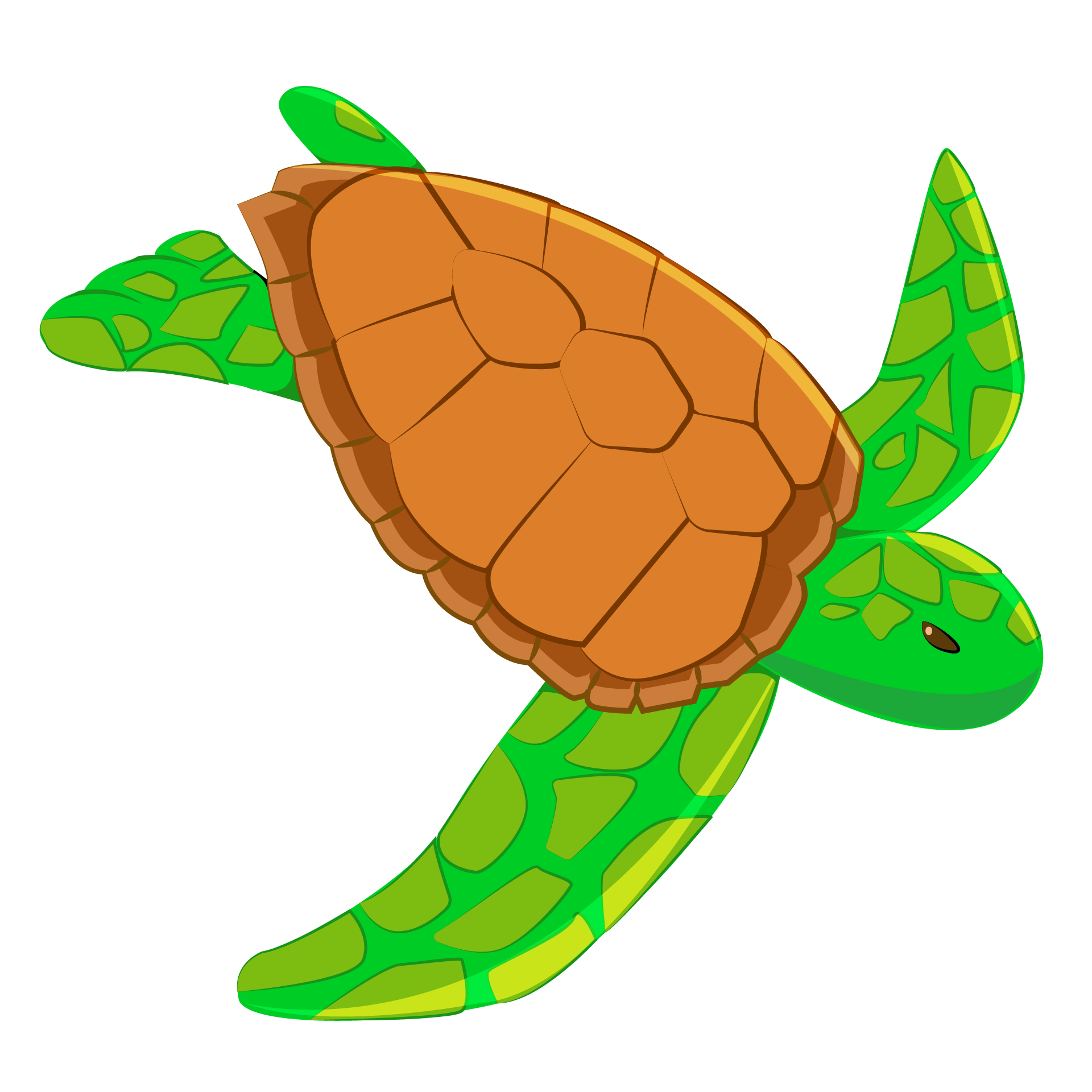 Tartaruga representando crescimento sustentável